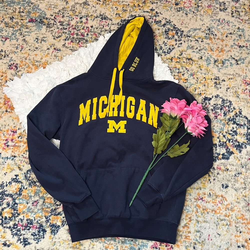 Adult Michigan Hoodie Sweatshirt